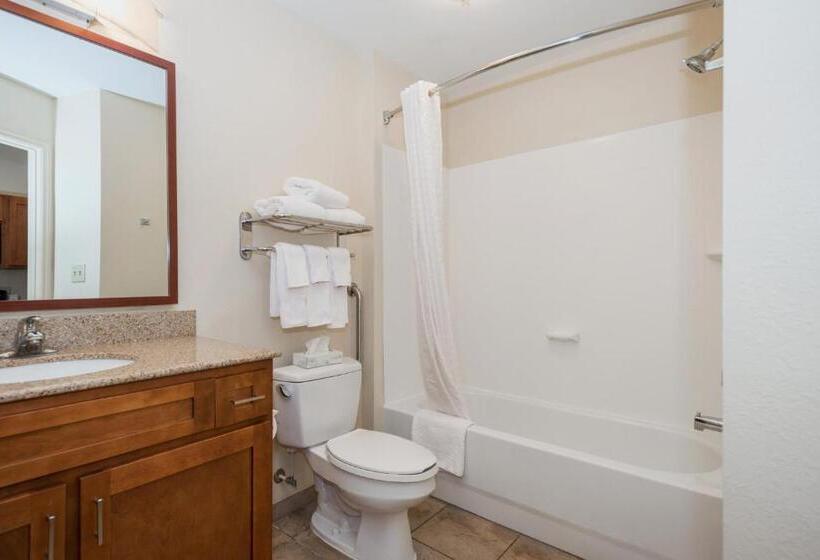 Студия Стандарт, Candlewood Suites Mobile Downtown, An Ihg