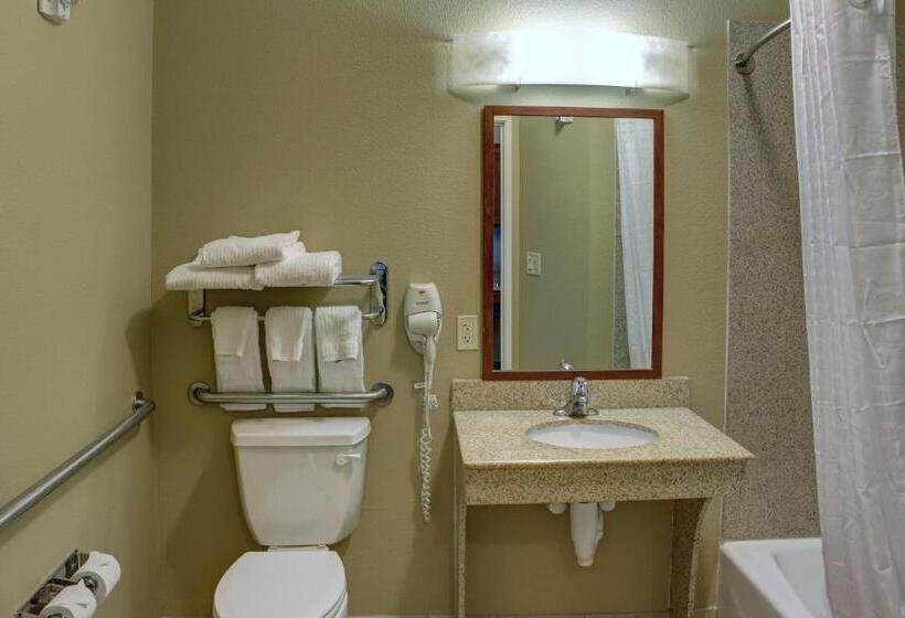 Студия Стандарт, Candlewood Suites Texarkana, An Ihg