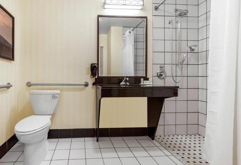 Pokój Standard, Fairfield Inn & Suites By Marriott Rockford