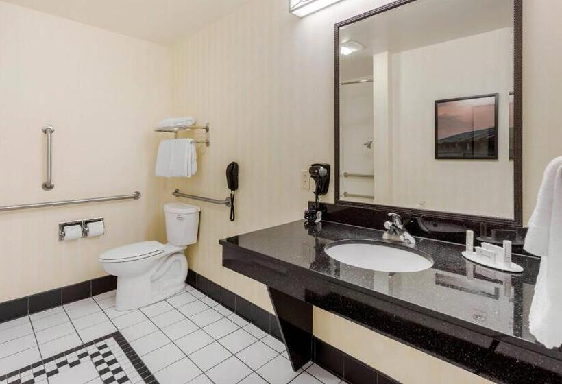 Pokój Standard Łóżko King Size, Fairfield Inn & Suites By Marriott Rockford