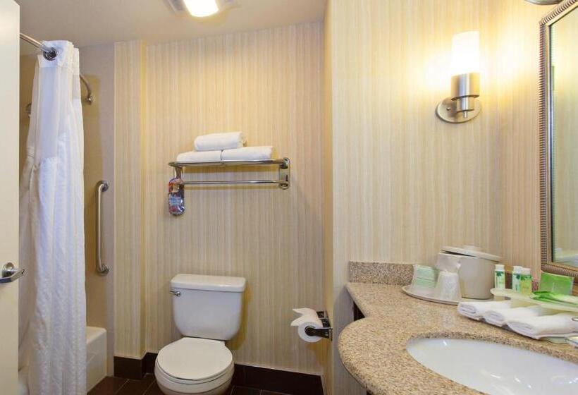 חדר סטנדרט, Holiday Inn Express & Suites Midland Loop 250, An Ihg