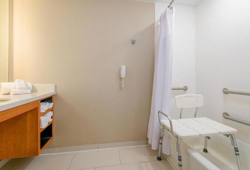 Студио Стандарт Кровать Кинг, Springhill Suites Durham Chapel Hill
