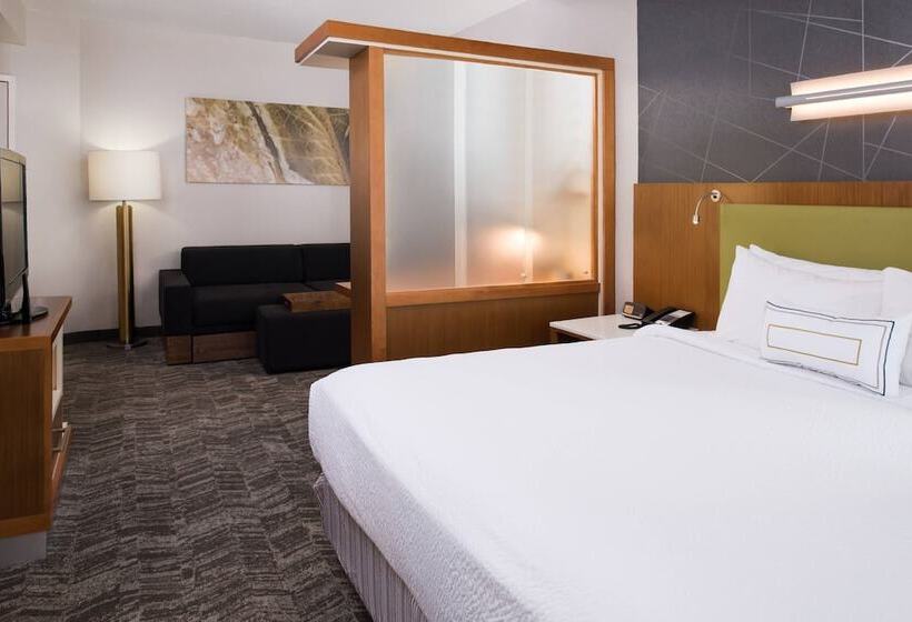스위트, Springhill Suites By Marriott Huntsville Downtown