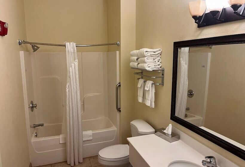 Люкс Адаптированный для Инвалидов, Wyndham Garden Otsegominneapolis