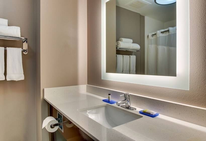 חדר סטנדרט, Holiday Inn Express Hotel & Suites Columbus Fort Benning, An Ihg