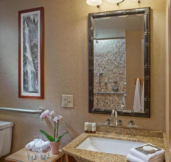 اتاق استاندارد با تخت بزرگ برای معلولان, High Peaks Resort