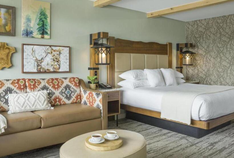اتاق استاندارد با تخت بزرگ, High Peaks Resort