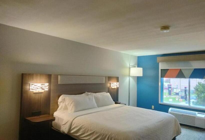이그제큐티브 룸 킹사이즈 침대, Holiday Inn Express Lapeer, An Ihg