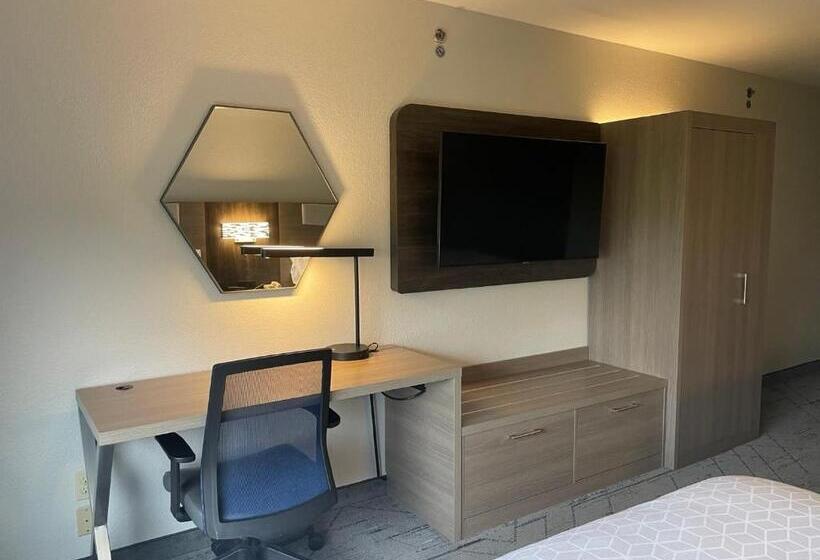 스탠다드 자쿠지 룸, Holiday Inn Express Lapeer, An Ihg