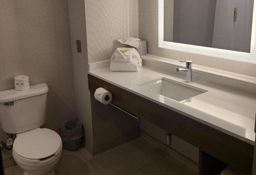Номер Стандарт Кровать Кинг Адаптированный для Инвалидов, Holiday Inn Express Lordstown Newton Falls/warren, An Ihg