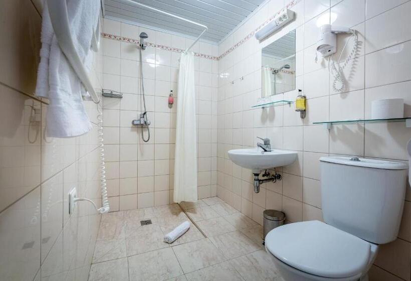 اتاق ساده سه‌ نفره, Aribė Hotel Klaipėda, Free Parking