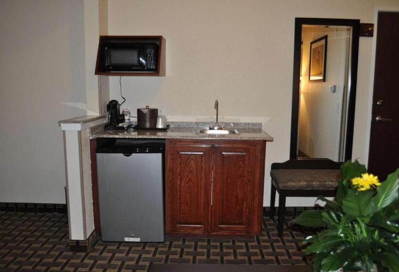 스탠다드 룸 킹사이즈 침대, Best Western Plus Cutting Horse Inn & Suites