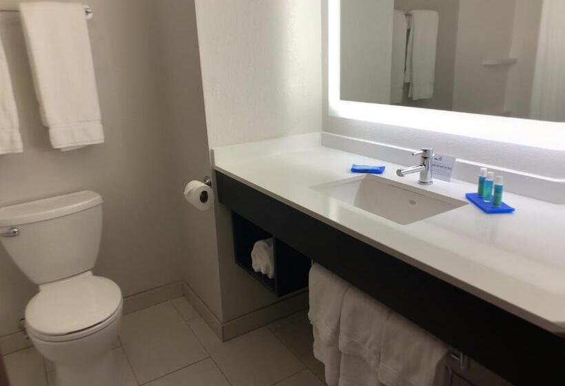Студио Стандарт Кровать Кинг, Holiday Inn Express Hotel & Suites Exmore Eastern Shore, An Ihg