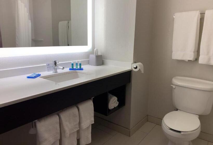 Люкс Кровать Кинг, Holiday Inn Express Hotel & Suites Exmore Eastern Shore, An Ihg
