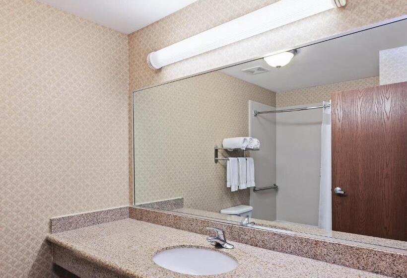 Standard-huone, Holiday Inn Express & Suites   Laredo Event Center Area, An Ihg