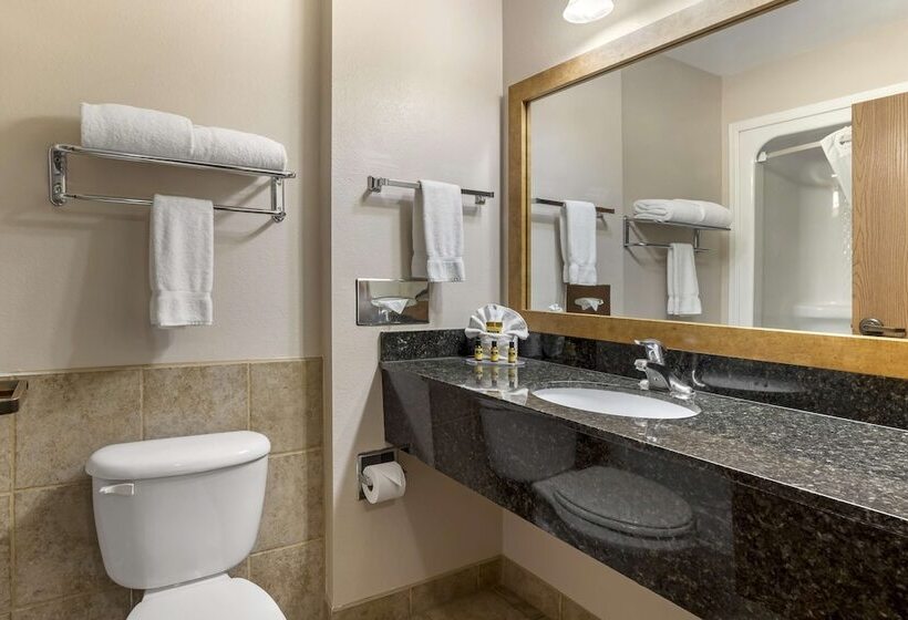 Номер Стандарт 2 Двуспальные Кровати, Best Western Plus Country Inn & Suites