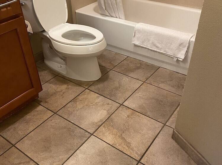 Студия Стандарт, Candlewood Williamsport, An Ihg