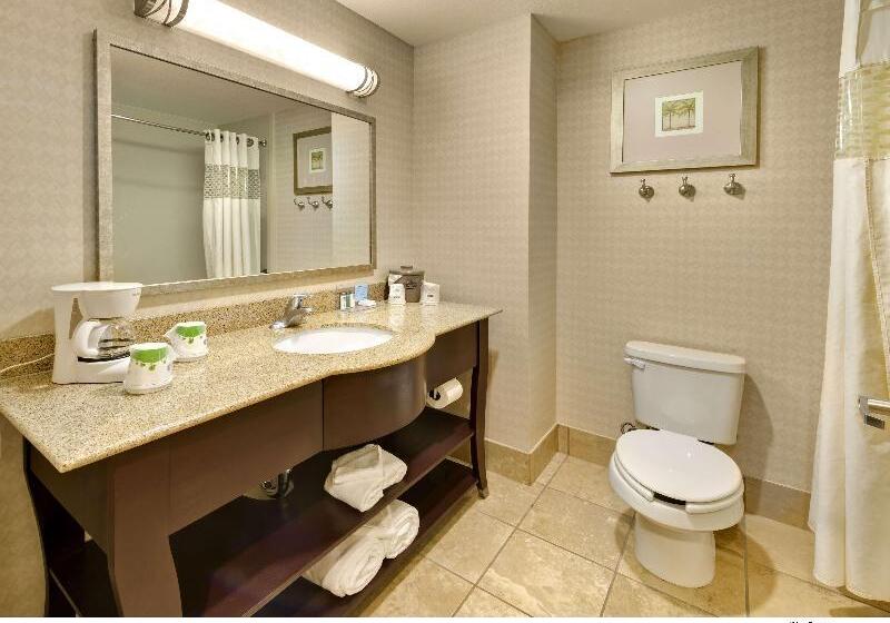 اتاق لوکس با تخت بزرگ, Hampton Inn & Suites Reno