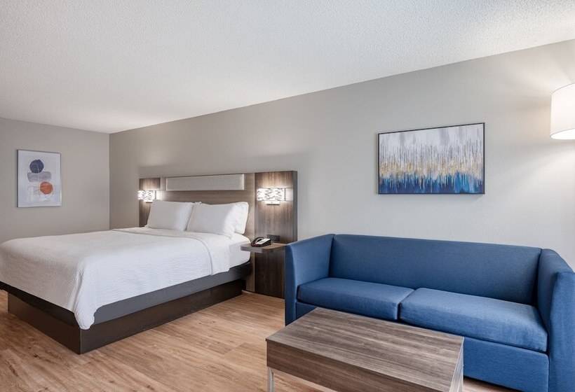 스위트, Holiday Inn Express Hotel & Suites Columbia I 20 At Clemson Road, An Ihg