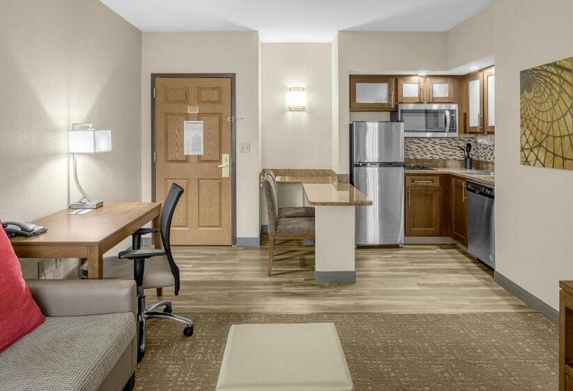 Suite met Kingsize Bed, Staybridge Suites Chattanooga Hamilton Place, An Ihg