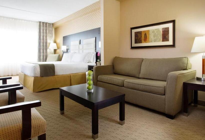스위트 킹사이즈 침대, Holiday Inn Express & Suites Ottawa West   Nepean, An Ihg