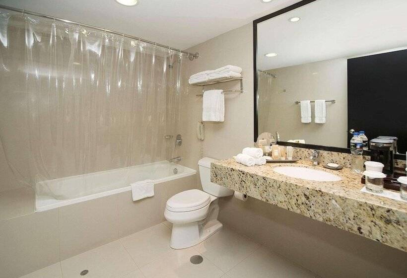 프리미엄 룸, Radisson Hotel Decapolis Miraflores