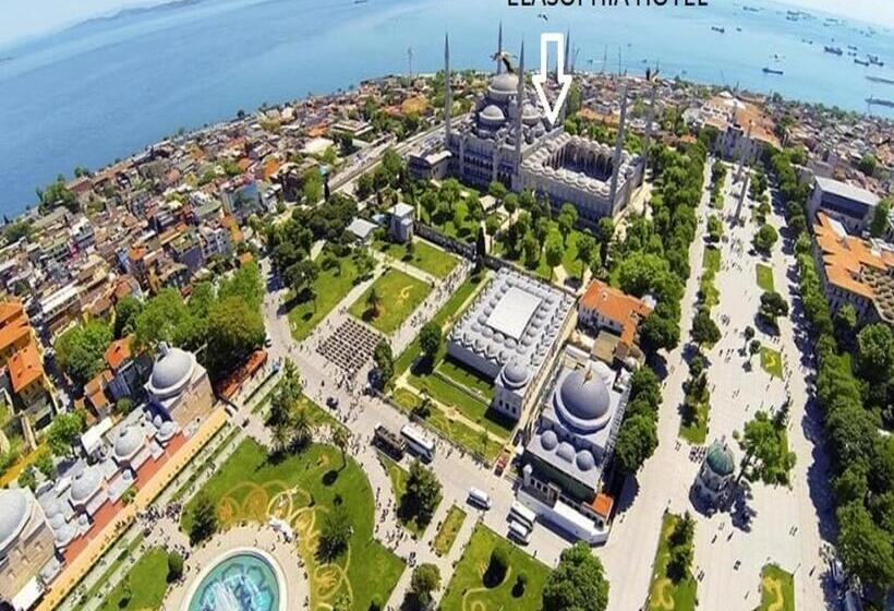 اتاق استاندارد سه نفره, Elasophia