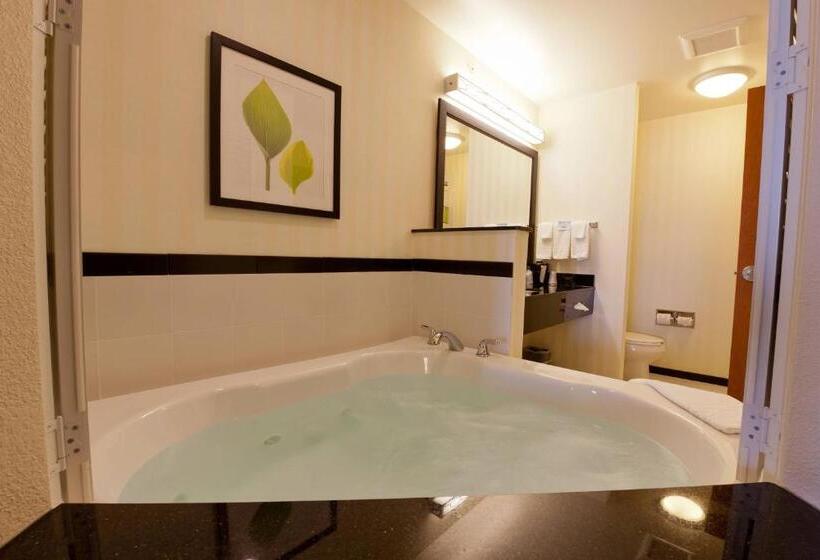 Стандартный Номер Кровать Кинг, Fairfield Inn And Suites Flint Fenton
