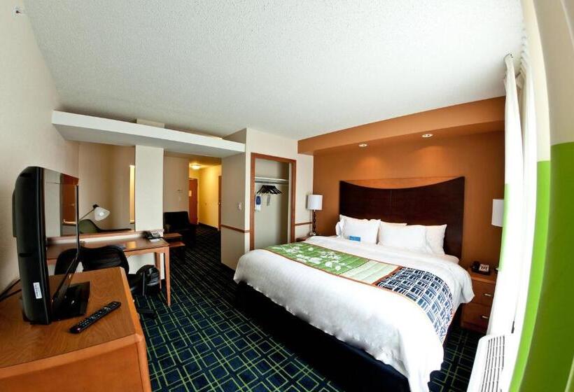 스탠다드 룸 킹사이즈 침대, Fairfield Inn And Suites Flint Fenton