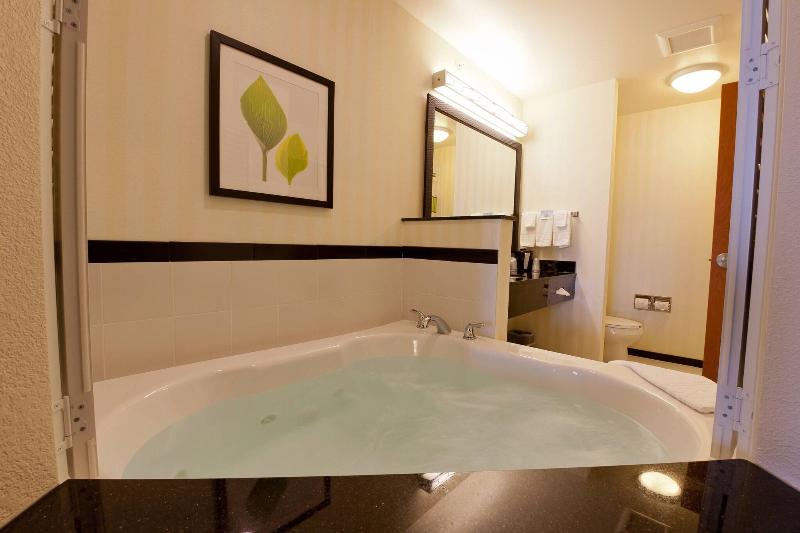 Стандартный Номер Кровать Кинг, Fairfield Inn And Suites Flint Fenton