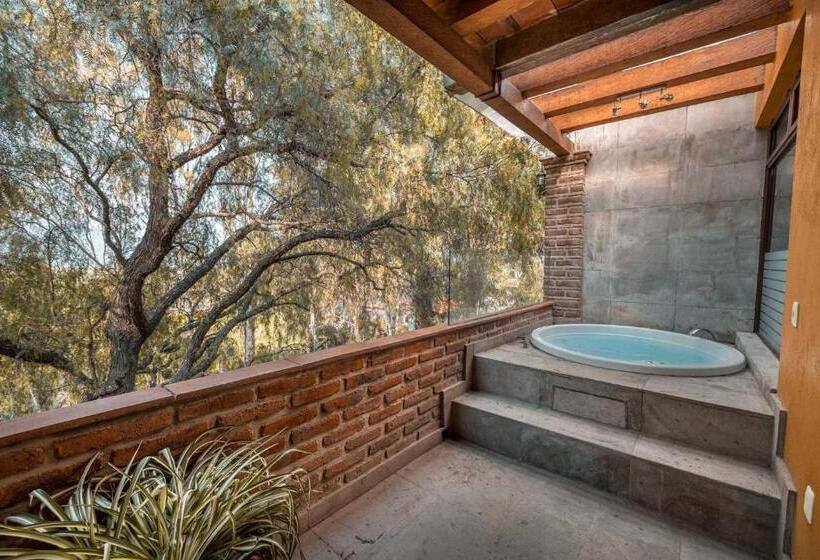Suite Master, Quinta San Carlos