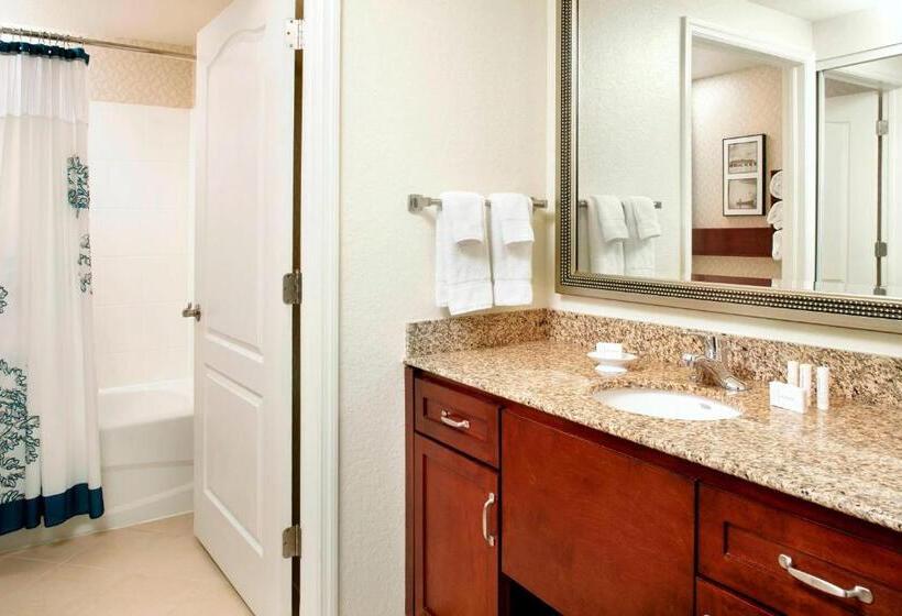 Люкс 2 Спальни, Residence Inn Tampa Suncoast Parkway At Northpointe Village