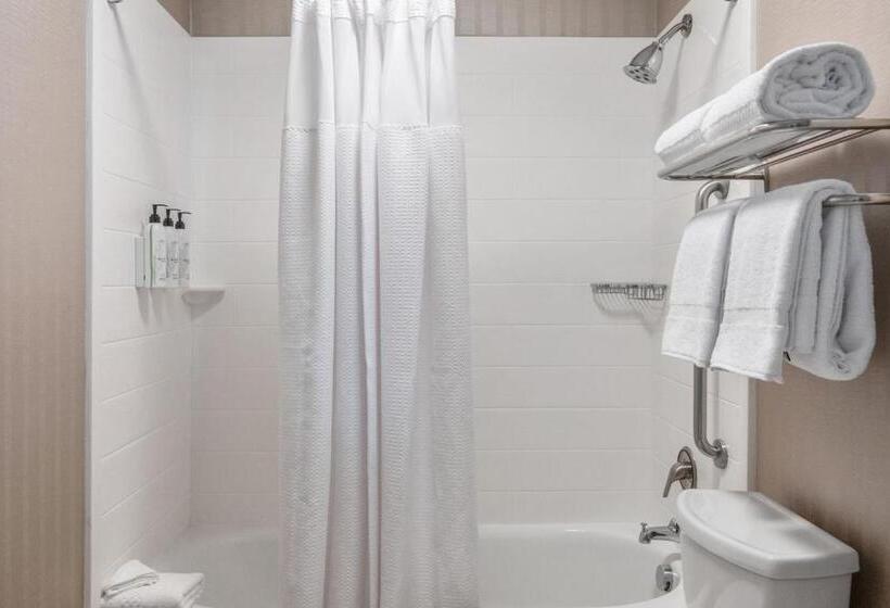 Люкс, Springhill Suites Phoenix Glendale Sports & Entertainment District