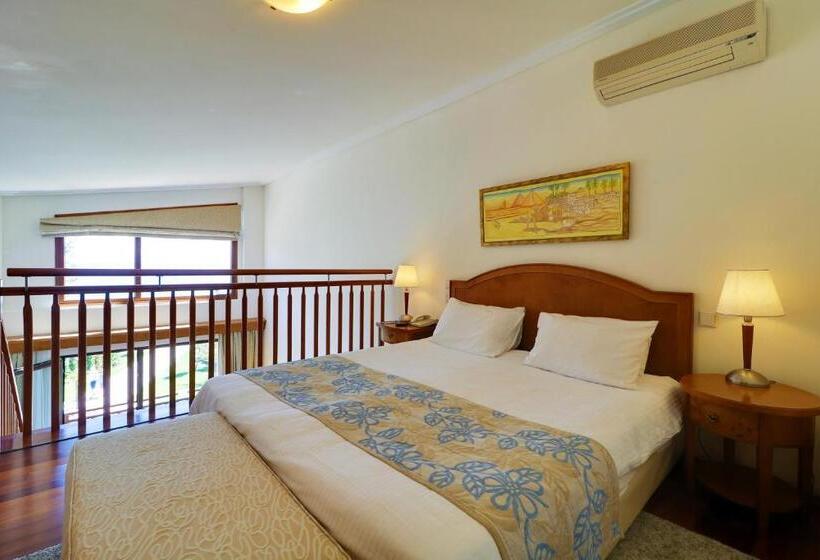 اتاق دوبلکس, Aegean Melathron Thalasso Spa