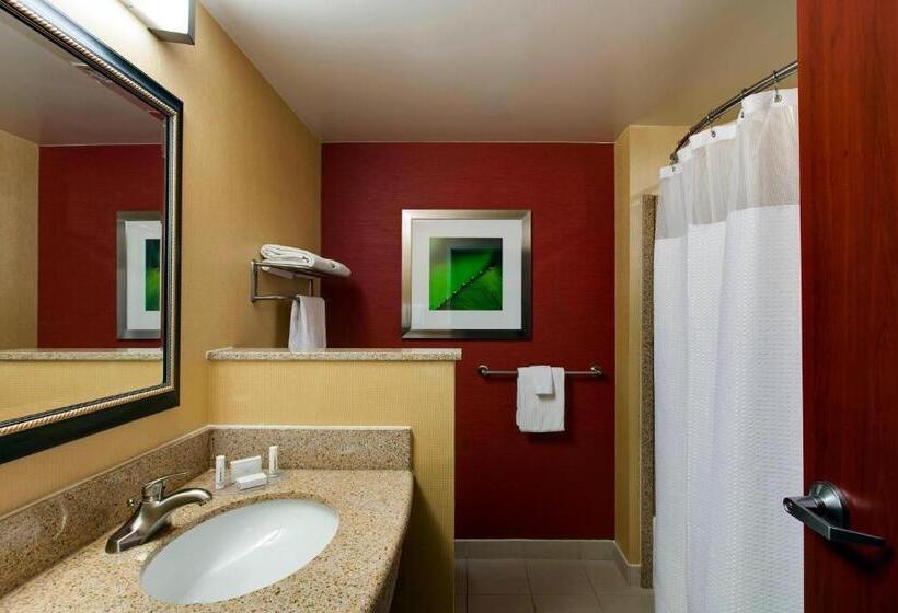 Mozgáskorlátozott Standard Szoba King Size Bed, Courtyard By Marriott Chicago Schaumburg/woodfield Mall