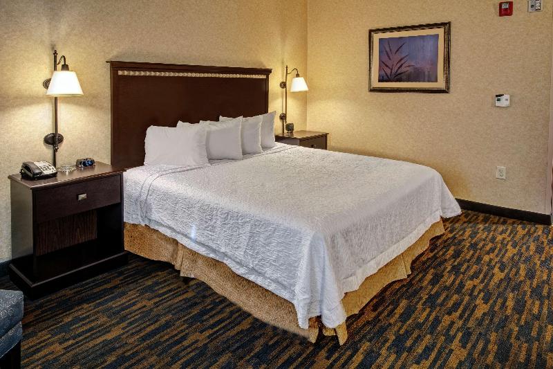 Стандартный Номер Кровать Кинг, Hampton Inn Roanoke Rapids, Nc