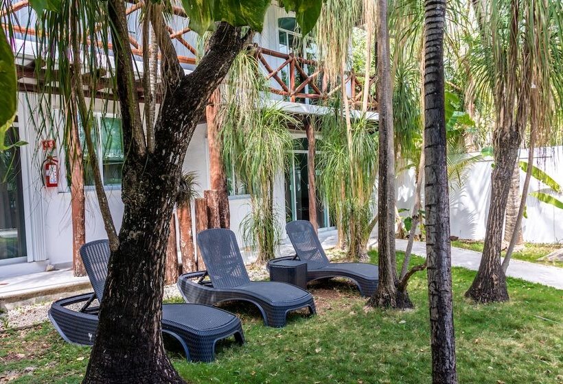 Studio Standard, Apart Hotel Casaejido
