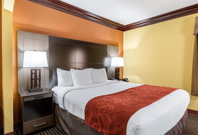 Люкс, Comfort Suites Lake Jackson Clute
