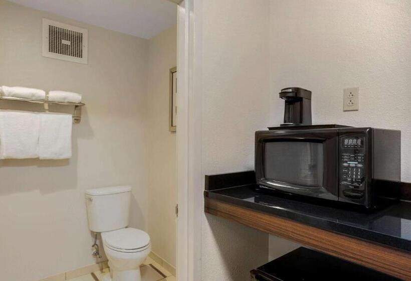 ２ダブルベッドのスタンダードルーム, Comfort Inn & Suites Mt. Laurelphiladelphia