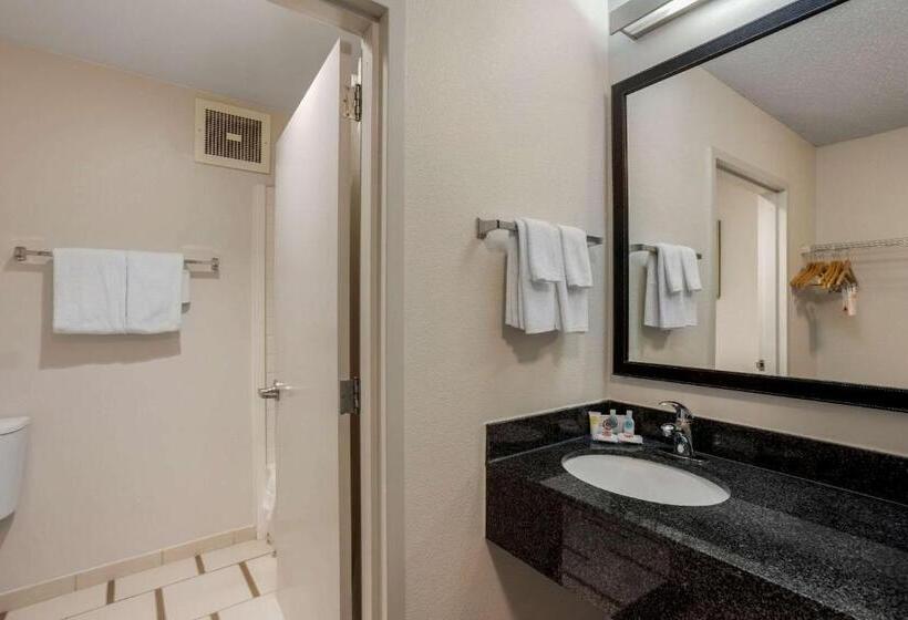 Люкс Кровать Кинг, Comfort Inn & Suites Mt. Laurelphiladelphia