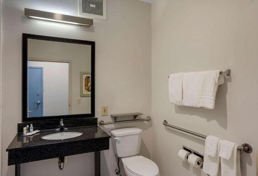 Номер Стандарт Кровать Кинг Адаптированный для Инвалидов, Comfort Inn & Suites Mt. Laurelphiladelphia