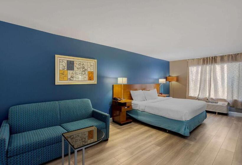 身障者適用キングサイズベッドルーム, Comfort Inn & Suites Mt. Laurelphiladelphia
