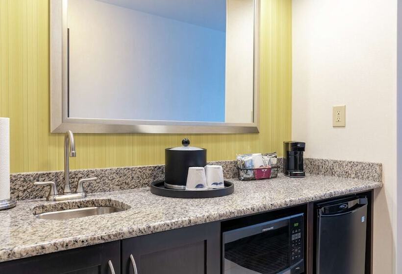 Номер Стандарт, Hampton Inn & Suites Saginaw