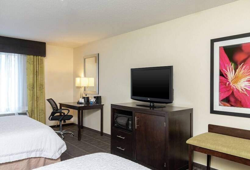 Номер Стандарт, Hampton Inn & Suites Saginaw