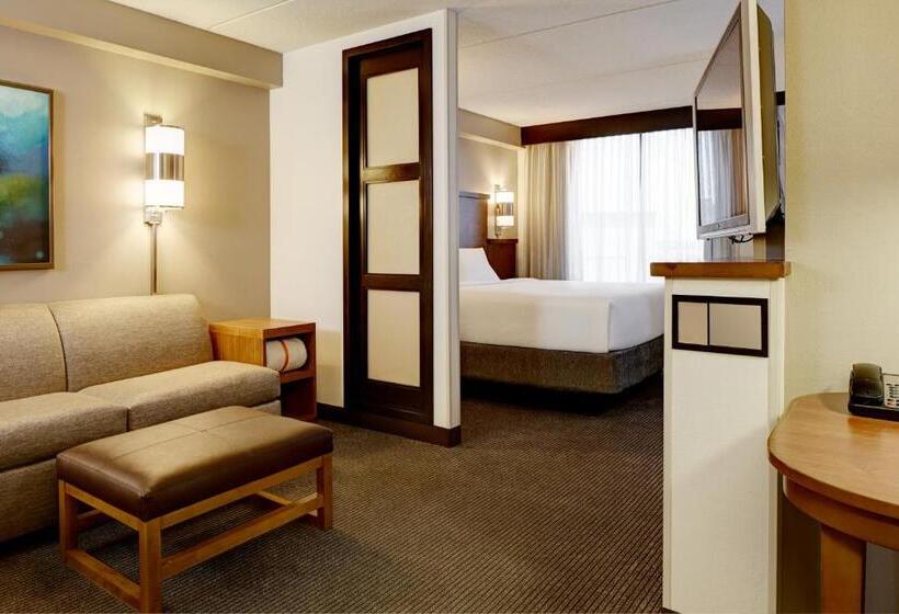 장애인을 위한 킹사이즈 침대 스탠다드 룸, Hyatt Place Milford/new Haven