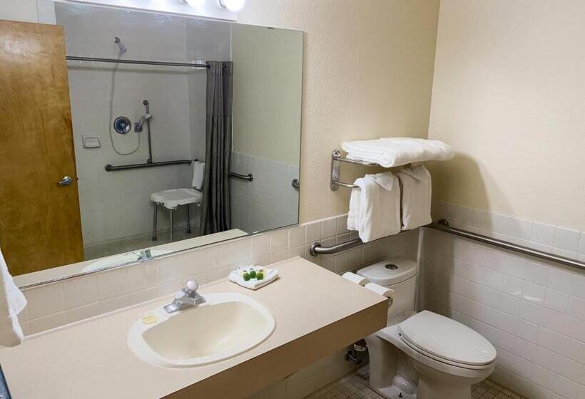 스탠다드 룸 킹사이즈 침대, Sisters Inn & Suites