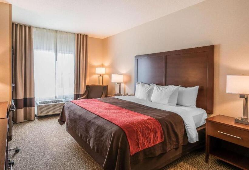 Номер Стандарт Кровать Кинг Адаптированный для Инвалидов, Comfort Inn & Suites