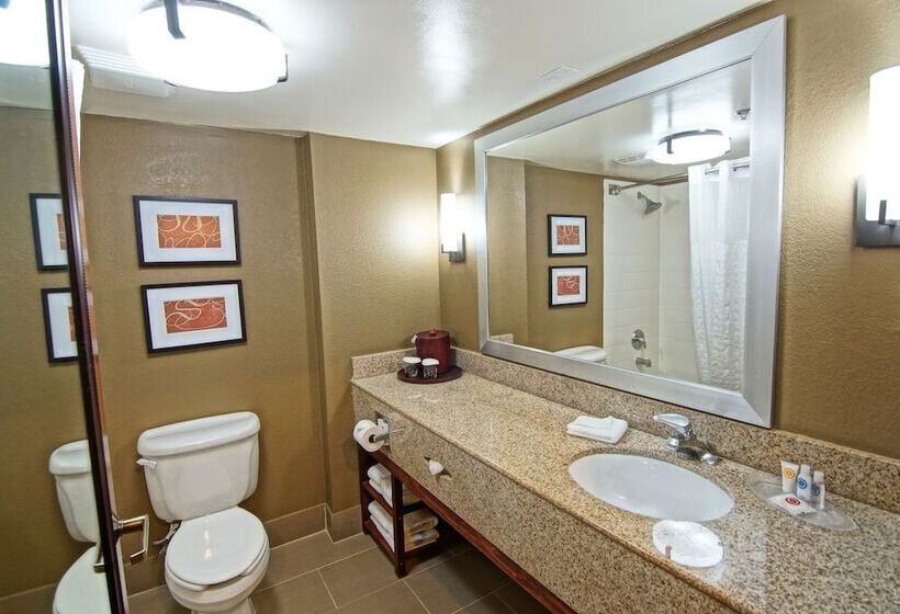 Люкс, Comfort Suites Near University