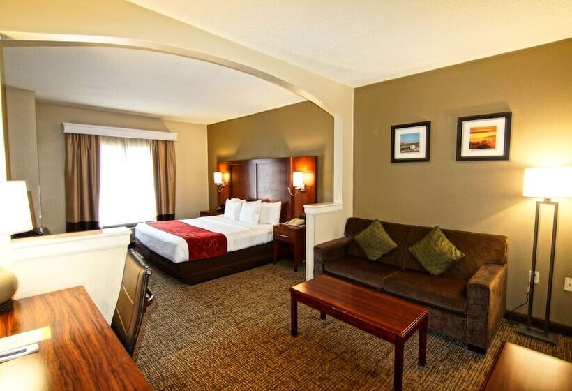 Люкс, Comfort Suites Near University