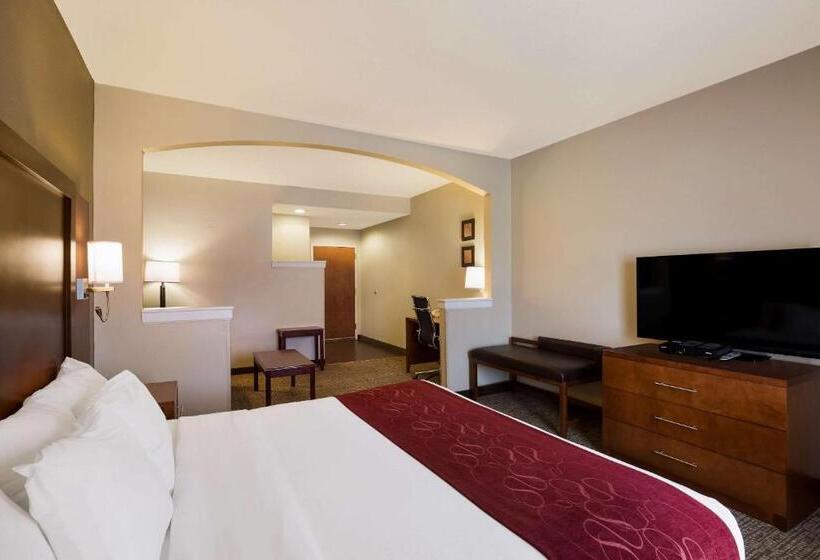 Люкс Кровать Кинг, Comfort Suites Near University